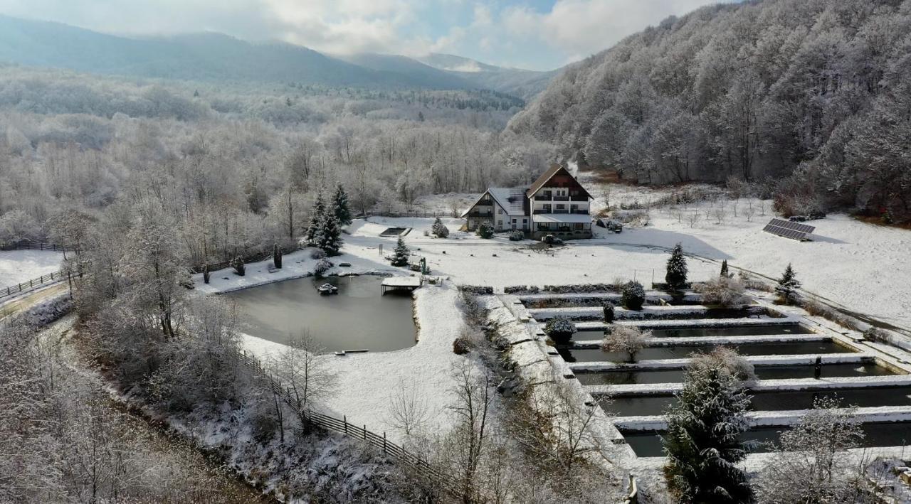 Hotel Valea Salbatica Sinca Noua Exterior foto