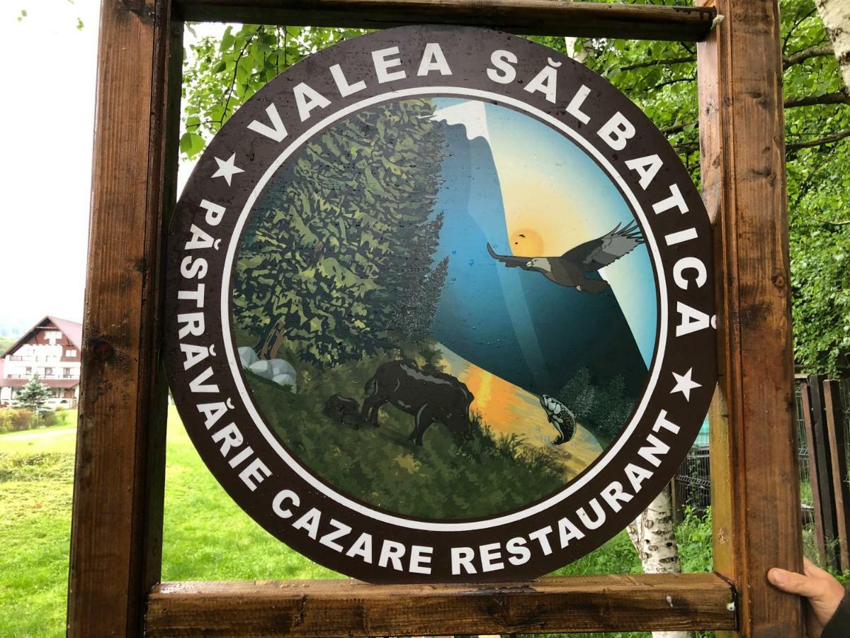 Hotel Valea Salbatica Sinca Noua Exterior foto